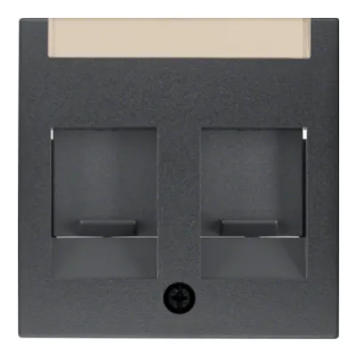 Berker Zentralstück anth 11811606