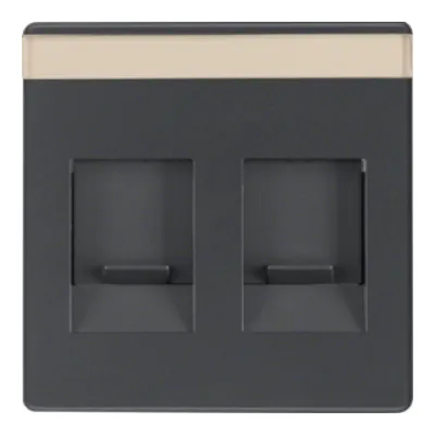 Berker Zentralplatte 11816086 | Mod-Jack 2-fach | Staubschutz & Beschriftungsfeld | Unterputz | anthrazit matt