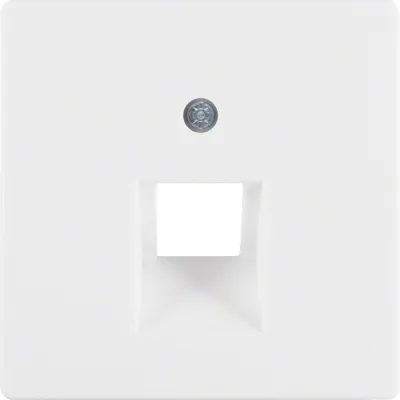 Berker Zentralplatte 14076089 für UAE/IAE-Steckdose Q.1 1-fach 45° | Thermoplast | polarweiß | halogenfrei