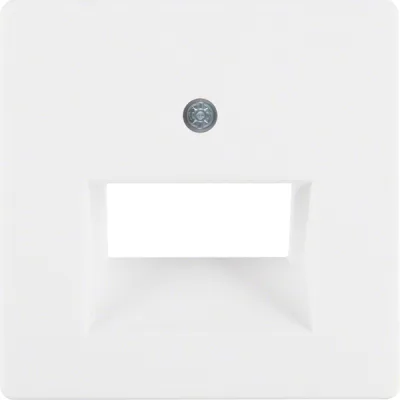 Berker Zentralplatte 14096089 | UAE/IAE 2-fach | schräger Auslass 45° | Unterputz | Kunststoff | polarweiß matt