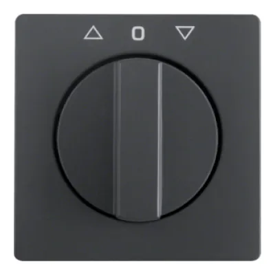 Berker Zentralstück mit Drehknopf Jal. Q.1/Q.3 an 1080608600