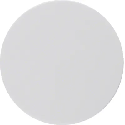 Berker Zentralstück mit Regulierknopf 11372089 | Drehknopf für Dimmer R.1/R.3 | Kunststoff | polarweiß glänzend