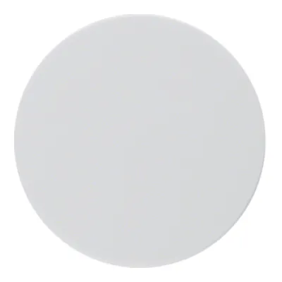 Berker Zentralstück mit Regulierknopf 11372089 | Drehknopf für Dimmer R.1/R.3 | Kunststoff | polarweiß glänzend