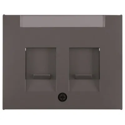 Berker Zentralplatte Modular-Jack 2-fach | Staubschutz & Beschriftungsfeld | Unterputz | anthrazit matt