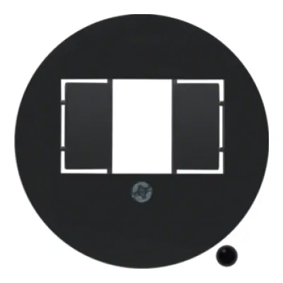 Berker Zentralplatte 104001 | TAE Abdeckung Serie 1930/Glasserie/Palazzo | Kunststoff Thermoplast | schwarz glänzend