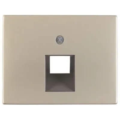 Berker Zentralplatte UAE/IAE 14077004 | K.5 | Edelstahl matt | 1-fach | 45° Schragauslass