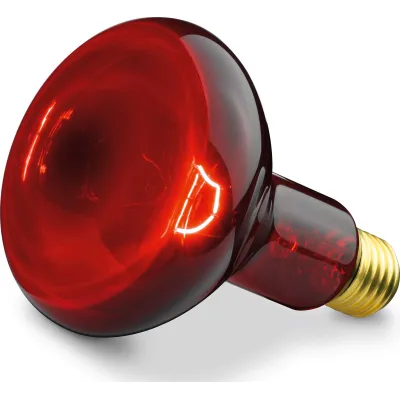 Beurer Zubehör f.Infrarotlampe Ersatzstrahle SIL06/IL11 Ers.