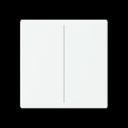 BJ Abdeckung 2-fach f. LFW/A.2.63.11-884 Keypad