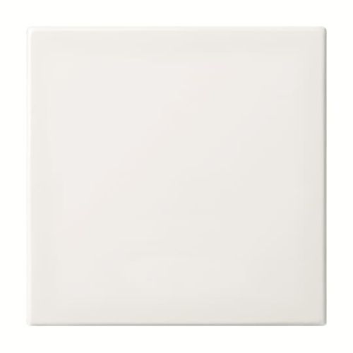 Bild: BJ BT-Bedienelement 1-fach 6735 BT-914