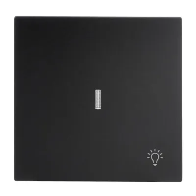BUSCH-JAEGER Wippe Schalter 1789 LI-45M | Symbol Licht | UP-Taster Abdeckung | matt | Kunststoff | schwarz RAL 9005
