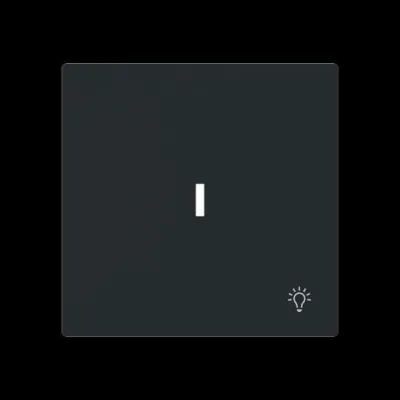 BUSCH-JAEGER Wippe Schalter 1789 LI-45M | Symbol Licht | UP-Taster Abdeckung | matt | Kunststoff | schwarz RAL 9005