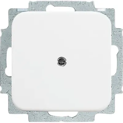 Busch-Jaeger Blindzentralscheibe 2538-214 | Reflex SI | Unterputz | Thermoplast | glänzend | IP20 | alpinweiß