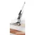 Bild: Bosch BCH6ATH25 Athlet 25,2 V