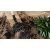 Bild: Bosch Akku-Staubsauger BKS711GH Unlimited Serie 7 | kabellos | 18V 3Ah | Knickrohr | LED-Düse | beutellos | lagunablau