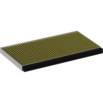 Bosch DWZ1IB1B6 Clean Air Plus geurfilter (vervanging)