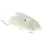 Bild: Bosch Ofen-Wassertank 00708230 Wasserbehälter