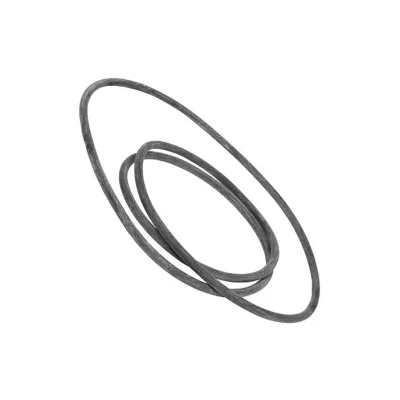 Bottichdichtung für Waschmaschinen (4055123865)