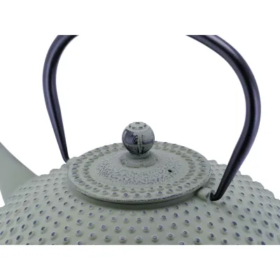 Bredemeijer Teekanne Xilin 1,25l Gusseisen hellgrün 153090