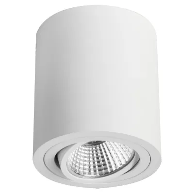 Brumberg LED-Deckenanbaustrahler 12063173 | 6W | 3000K | 540lm | rund | schwenkbar | Aluminium | IP20 | weiß