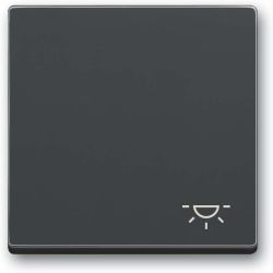 BUSC Wippe 2520 LI-81 Symbol Licht anthrazit