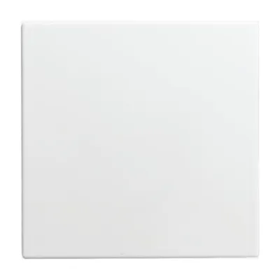 Busch-Jaeger Blindzentralscheibe 1576 C-914 | IP20 | für Netzteil/Relais | Thermoplast | alpinweiß