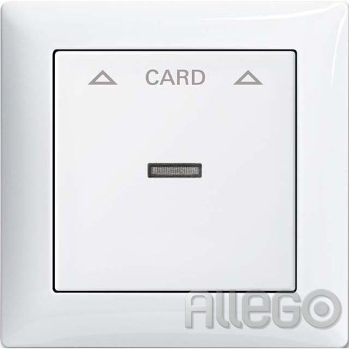 Bild: BUSCH 1792-914 Cardschalter