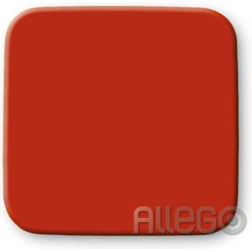Bild: BUSCH 2506-217-101 Wippe Aus 1P Wechsel