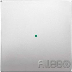 BUSCH 6230-10-866 Wippe 1-fach