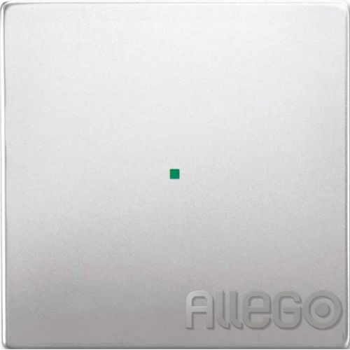 Bild: BUSCH 6230-10-866 Wippe 1-fach