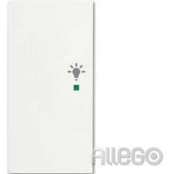 BUSCH 6231-21-884 Wippe/L 2-fach, Licht