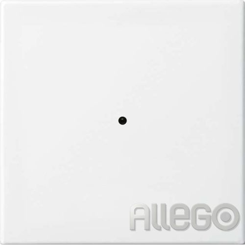 Bild: BUSCH 6731-914 B-Elemet WaveL1-f
