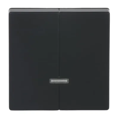 Busch-Jaeger Bedienelement 6545-885 | Taste für Seriendimmer | mit Glimmlampe | future linear | schwarz matt