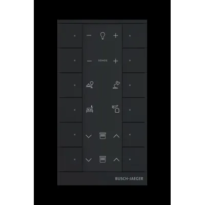 Busch-Jaeger Bedienelement SB-F-12.0.11-885 | 12-fach Raumtemperaturregler | Unterputz | Kunststoff | schwarz
