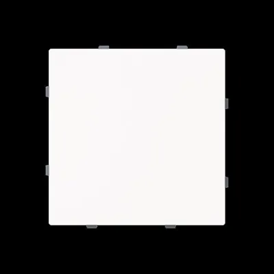 BUSCH-JAEGER Blindzentralscheibe 1742-44M | Abdeckung UP | Tragring | Kunststoff matt | weiß RAL 9016 | IP20