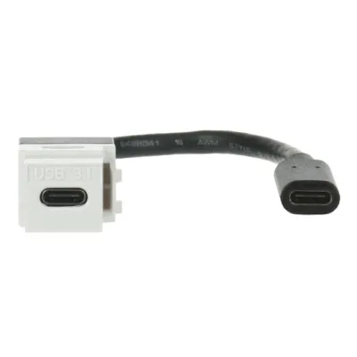 BUSCH-JAEGER Kabelpeitsche USB Keystone 0229/12 | Montageadapter 0219/14 kompatibel | Plug & Play | Weiß