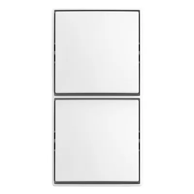 BUSCH-JAEGER Wechselschalter 2601/6/2601/6 APJ-524 | Aufputz | 2-fach | Wippe | IP20 | Kunststoff | weiß