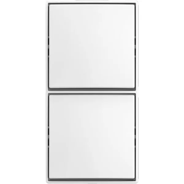 BUSCH-JAEGER Wechselschalter 2601/6/2601/6 APJ-524 | Aufputz | 2-fach | Wippe | IP20 | Kunststoff | weiß