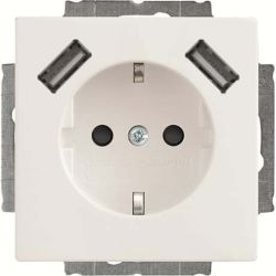 Busch-J. SCHUKO-2x USB Steckdose 20 EUCB2USB-84