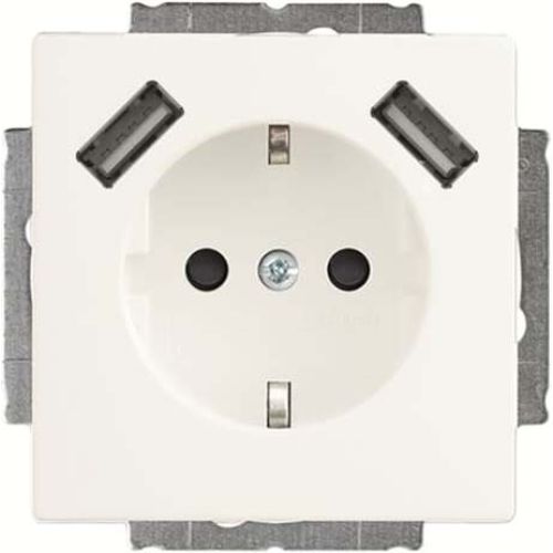 Bild: Busch-J. SCHUKO-2x USB Steckdose 20 EUCB2USB-884