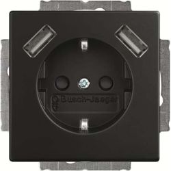 Busch-J. SCHUKO-2x USB Steckdose 20 EUCB2USB-885