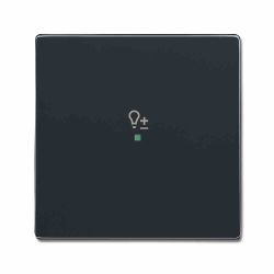 Busch-J. Wippe 1-f Symbol Dimmer anthrazit 6234-10-81