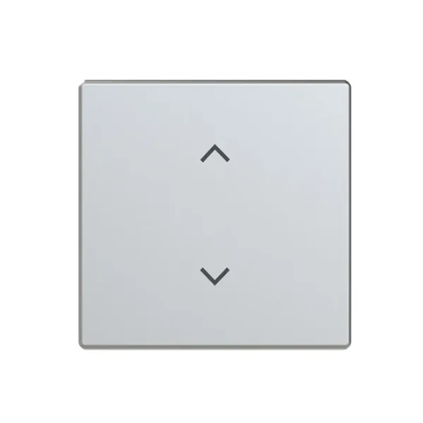 BUSCH-JAEGER Wippe 1-fach 6735-11-866 | Jalousie Symbol | Edelstahl matt | 63 mm | Schalter-Taster