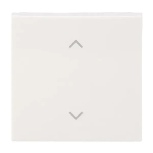 BUSCH-JAEGER Wippe 1-fach 6735-11-914 | Jalousie Schalter/Taster | Symbol Pfeile | Kunststoff | weiß RAL 9010