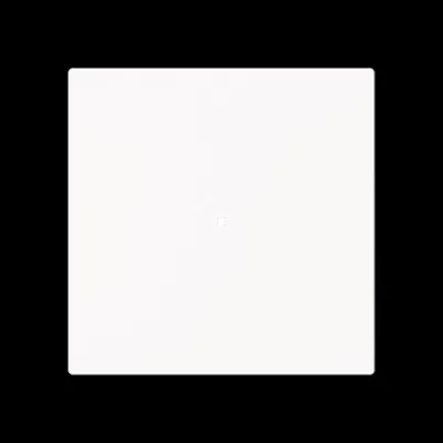BUSCH-JAEGER Tastwippe 6230-10-44M | KNX Bussystem | 1-fach | neutral | Kunststoff matt | weiß RAL 9016