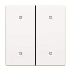 Busch-J. Wippe 2-fach Elektroniktaster 2570-20-84