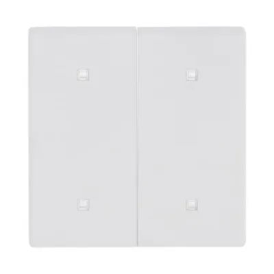 Busch-J. Wippe 2-fach Elektroniktaster 2570-20-884