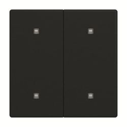 Busch-J. Wippe 2-fach Elektroniktaster 2570-20-885