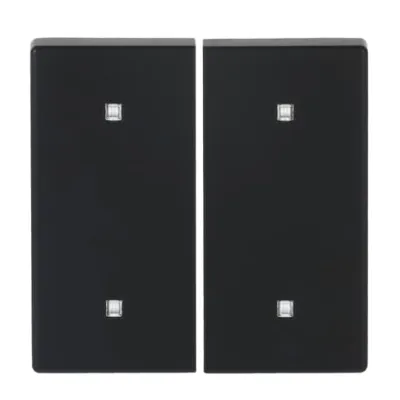 Busch-Jaeger Wippe 2-fach 2570-20-885 Elektroniktaster Abdeckung | thermoplast | matt | ohne Aufdruck | schwarz RAL 9005