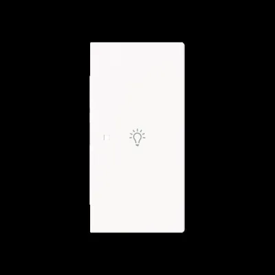 BUSCH-JAEGER Tastwippe 2-fach 6231-22-44M | KNX Bussystem | Symbol Licht | Kunststoff Thermoplast matt | weiß RAL 9016