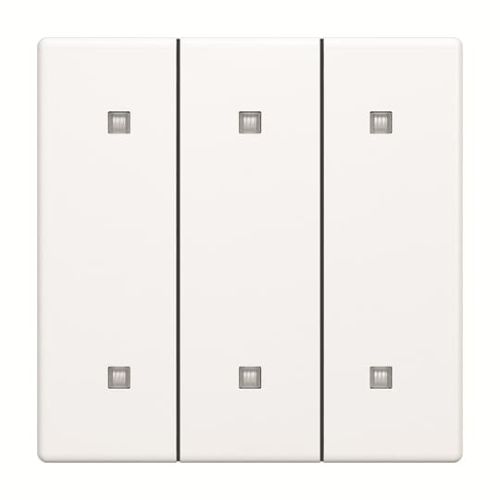 Bild: Busch-J. Wippe 3-fach Elektroniktaster 2570-30-884